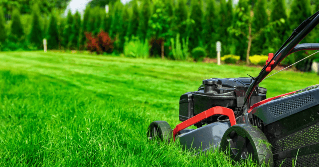 How To Find The Best Lawn Care Services?
