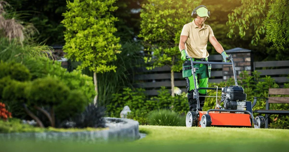 Lawn Problems Lawn Specialists Can Fix Easily